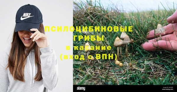 каннабис Алексеевка