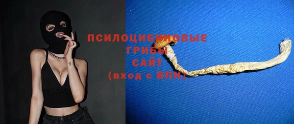 дурь Алзамай