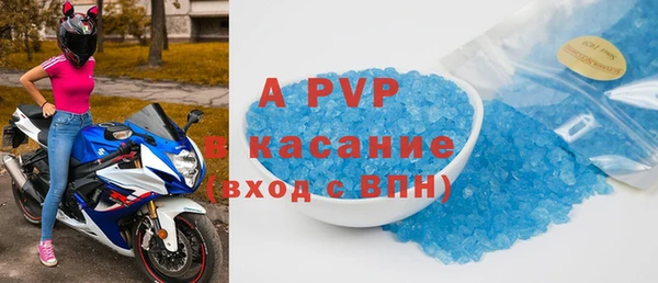 стафф Алексин