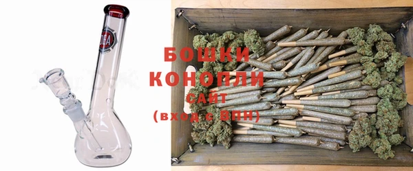 PSILOCYBIN Абаза