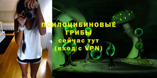 дурь Алзамай