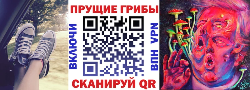 наркота  Жуковский  Галлюциногенные грибы GOLDEN TEACHER 