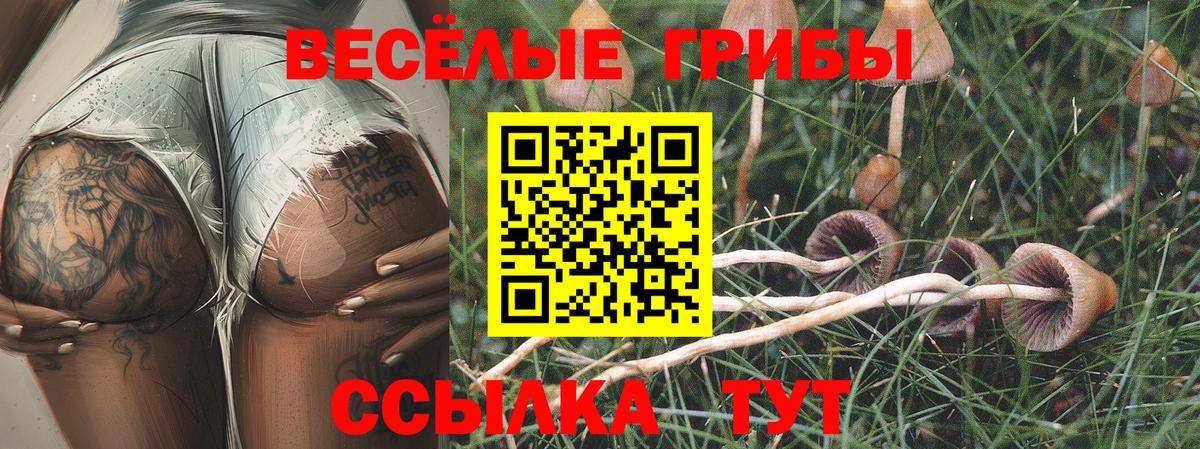Псилоцибиновые грибы Psilocybine cubensis  Галлюциногенные грибы MAGIC MUSHROOMS  Вход с VPN  Жуковский 