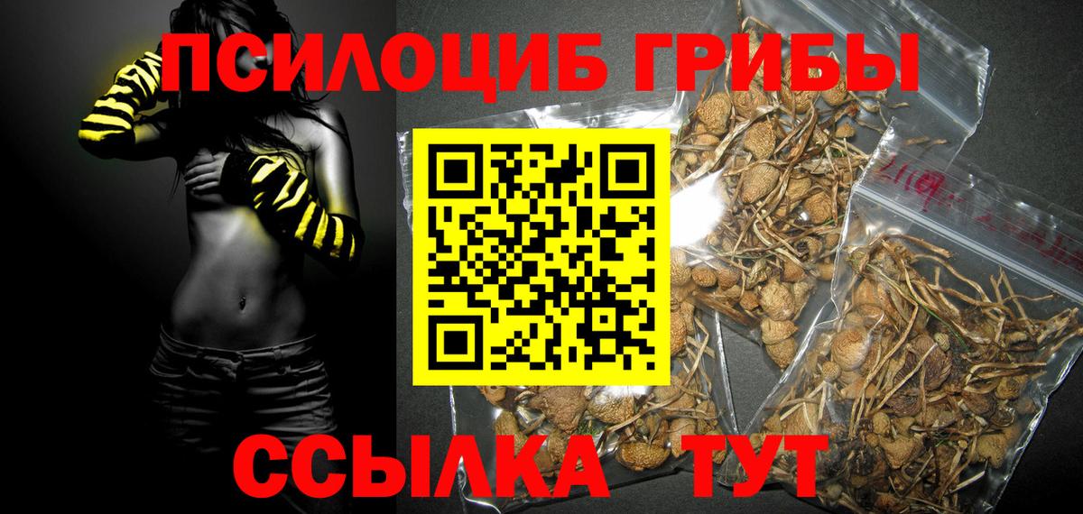 Галлюциногенные грибы MAGIC MUSHROOMS Жуковский